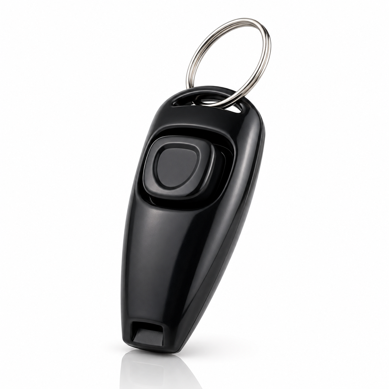Click & Whistle Trainer