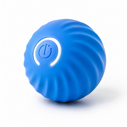 Interactive Training Ball