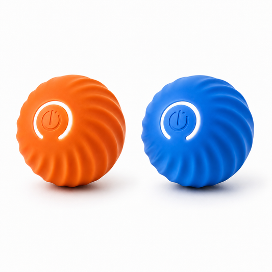Interactive Training Ball